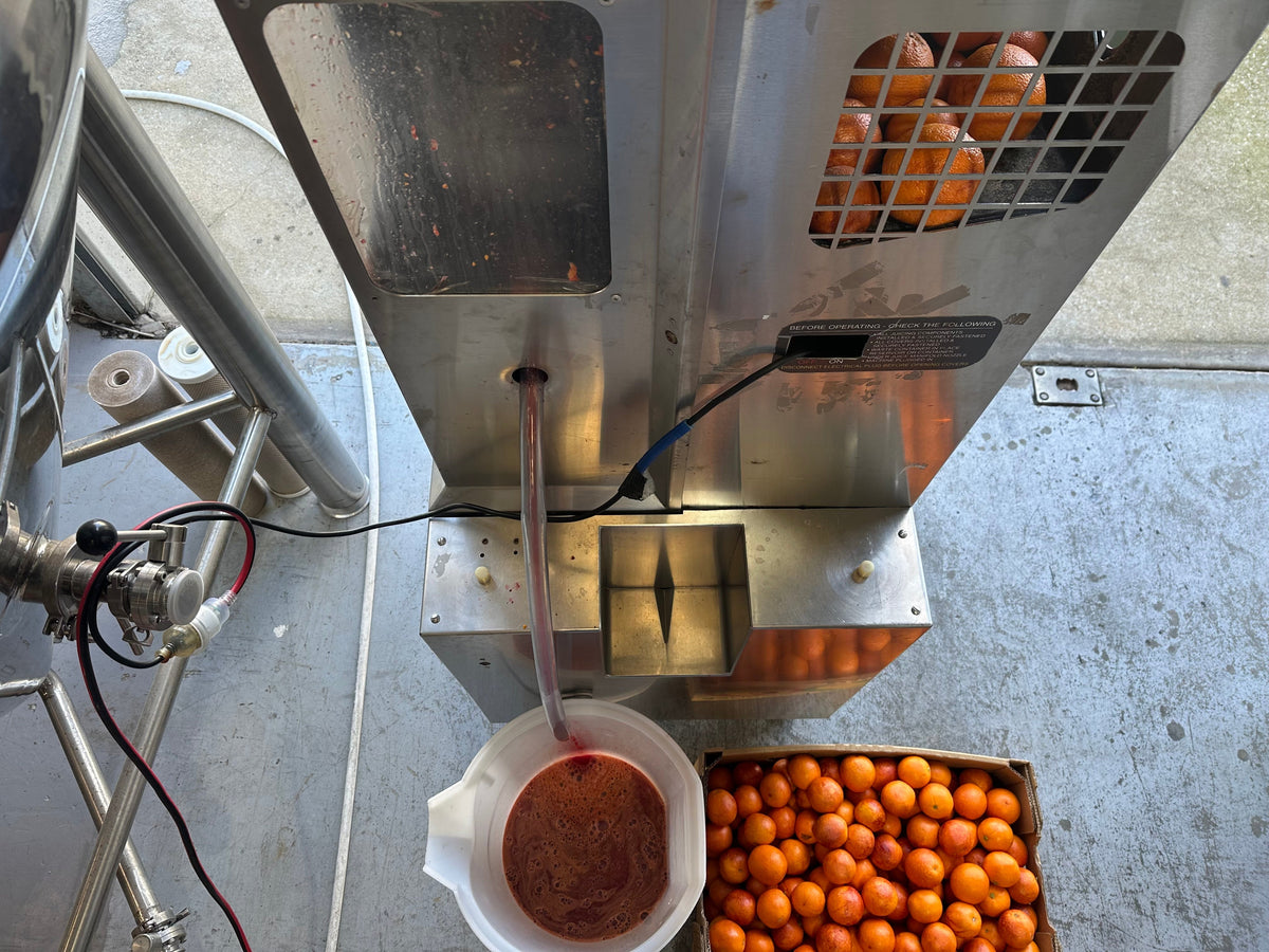 🍊 Blood Orange You Glad It's That Time of Year? - That Spirited Lot Distillers